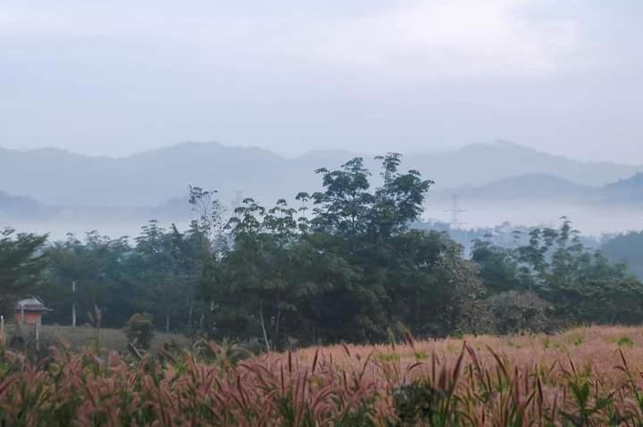 ภูริรักษ์ โฮมสเตย์ Ban Pha Saeng Lang Ngoại thất bức ảnh